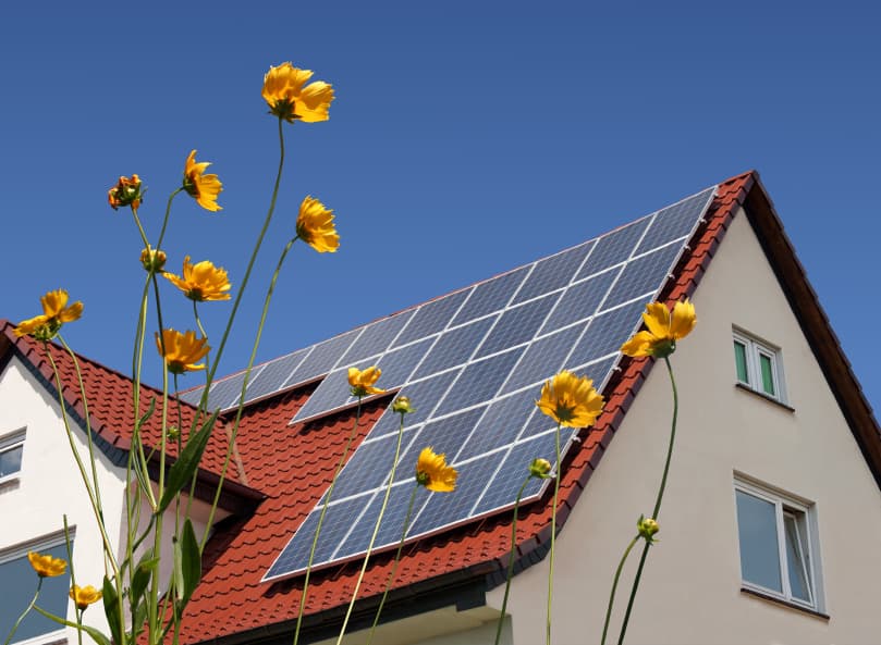 Einfamilienhaus mit Photovoltaikanlage auf rotem Ziegeldach, gelbe Blumen im Vordergrund